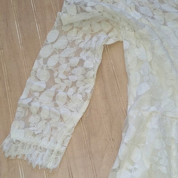 Free People Lace A Symmetrical Short Dressy 3 Quarter Sleeve Sheer Dress. - Picture 4 of 7